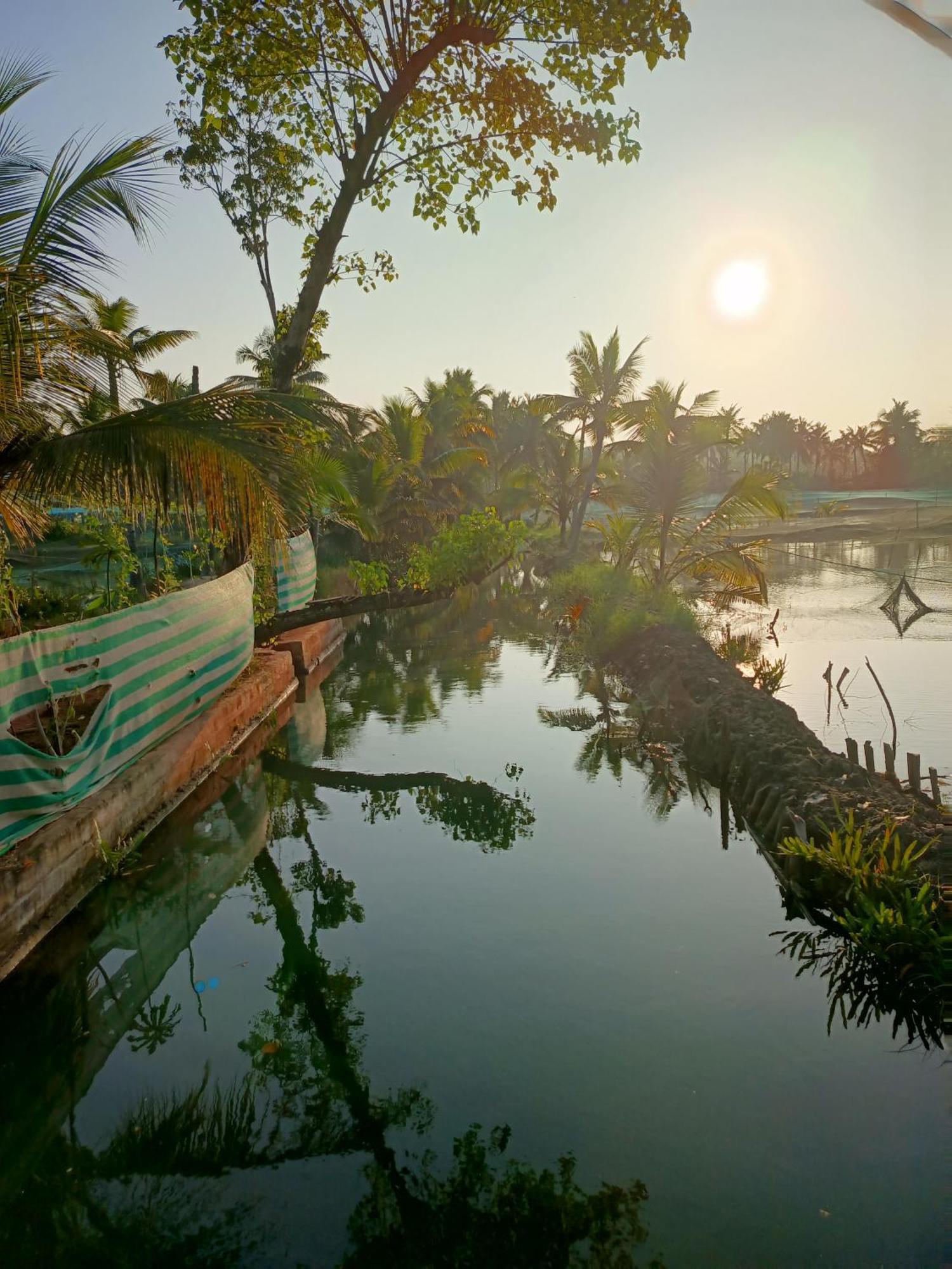 Bliss Homestay Munroe Island Mundrothuruth Ngoại thất bức ảnh