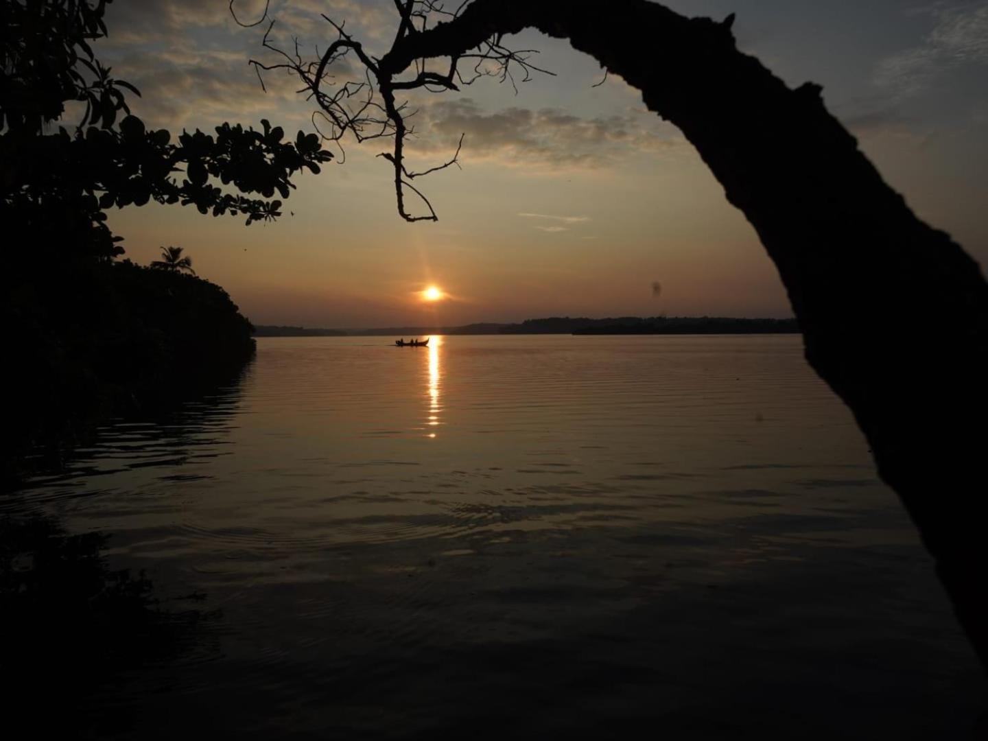Bliss Homestay Munroe Island Mundrothuruth Ngoại thất bức ảnh