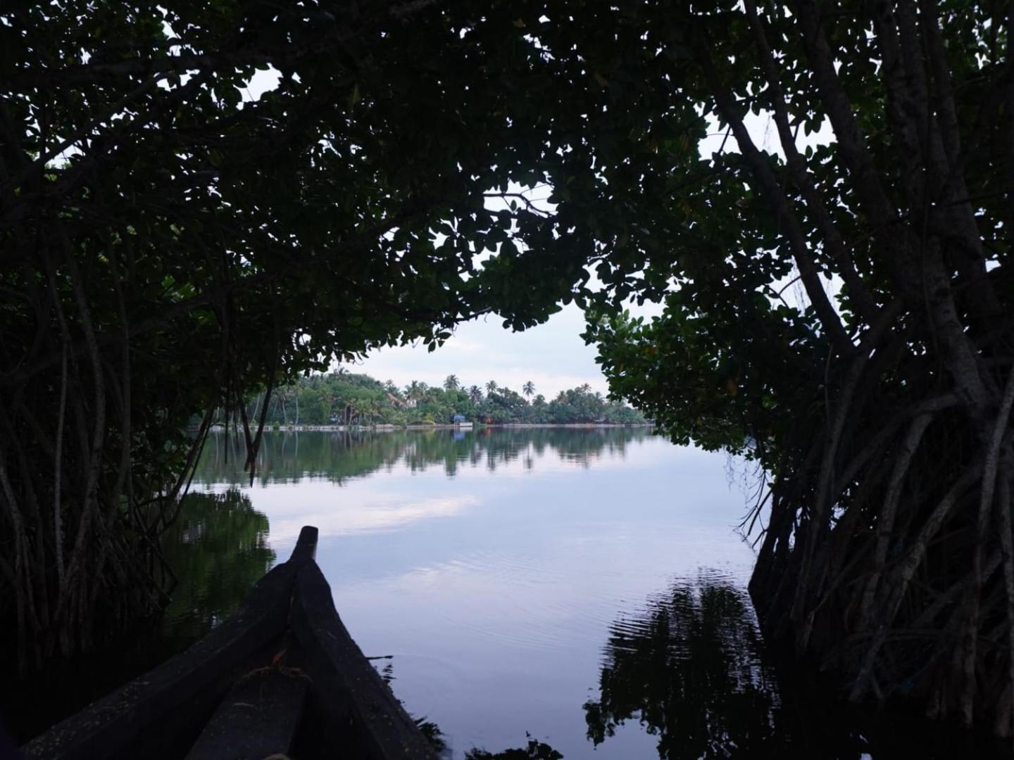 Bliss Homestay Munroe Island Mundrothuruth Ngoại thất bức ảnh