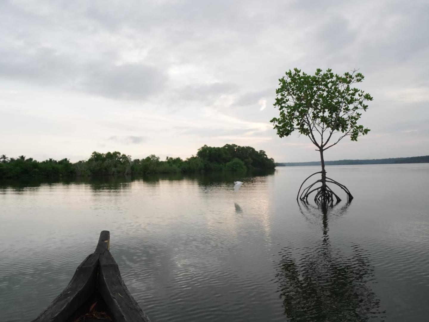 Bliss Homestay Munroe Island Mundrothuruth Ngoại thất bức ảnh