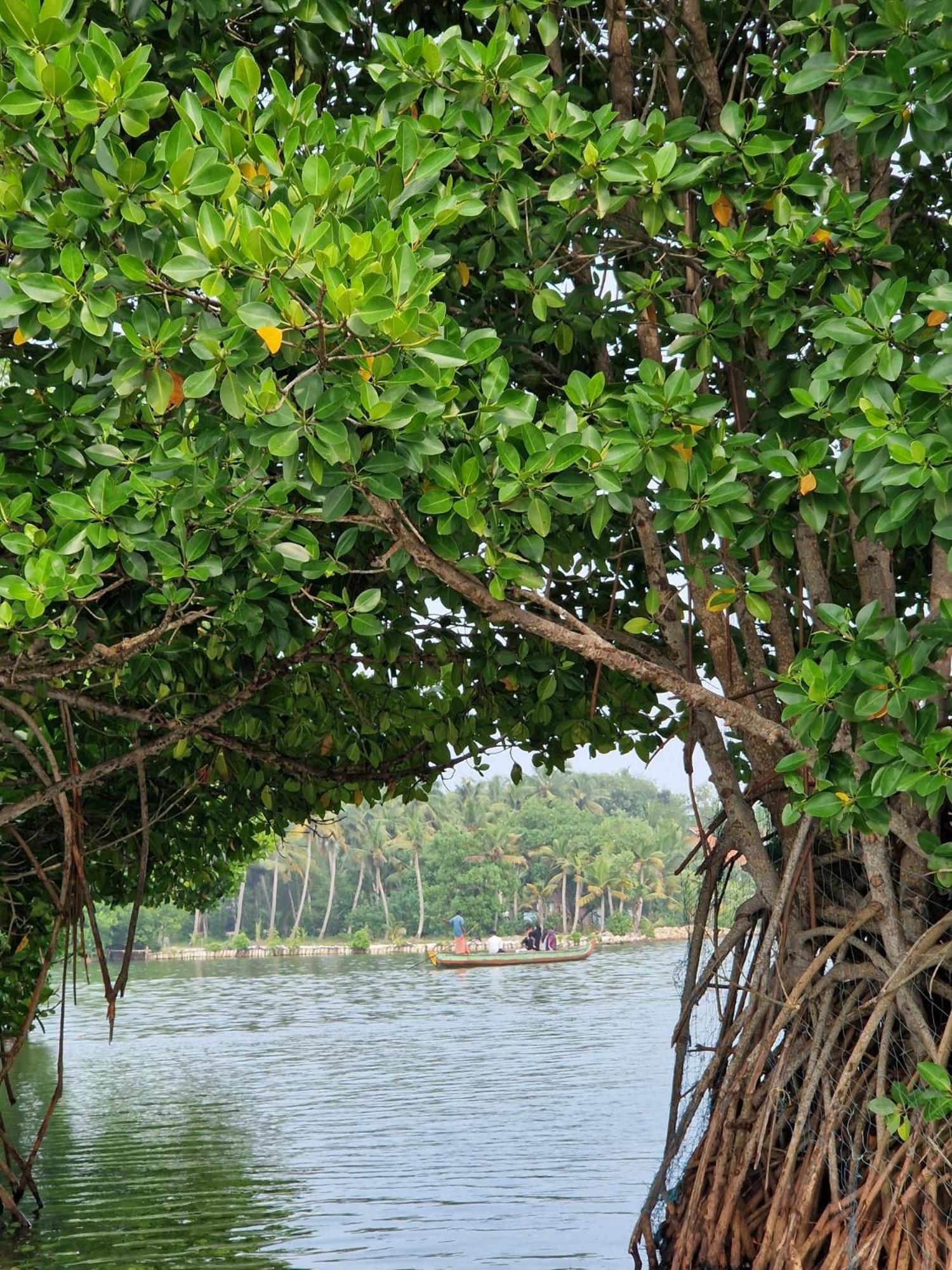 Bliss Homestay Munroe Island Mundrothuruth Ngoại thất bức ảnh