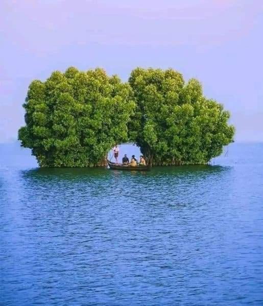 Bliss Homestay Munroe Island Mundrothuruth Ngoại thất bức ảnh